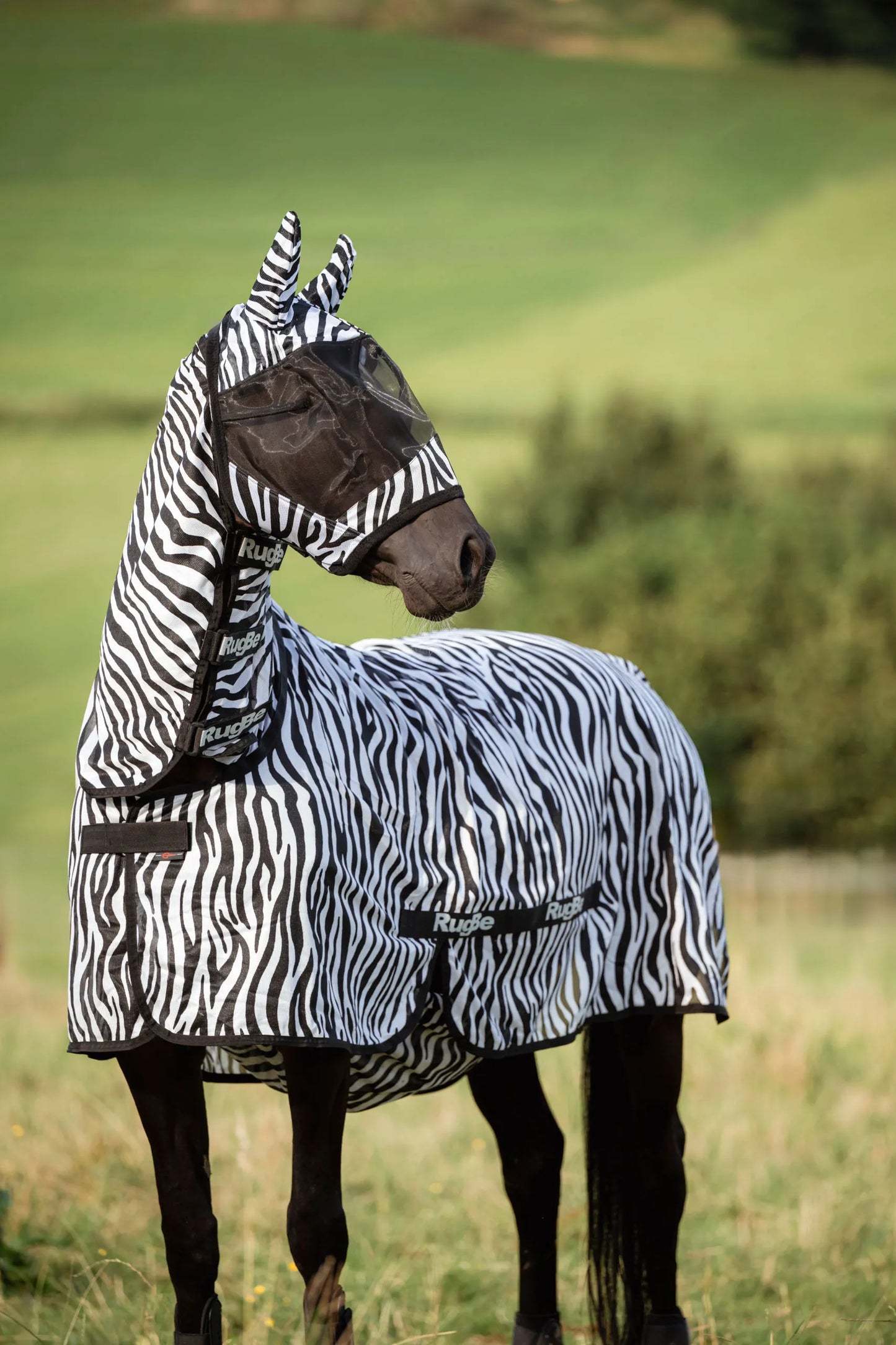 RugBe Zebra Fly & Eczema Blanket - Horse Fly Protection Rug