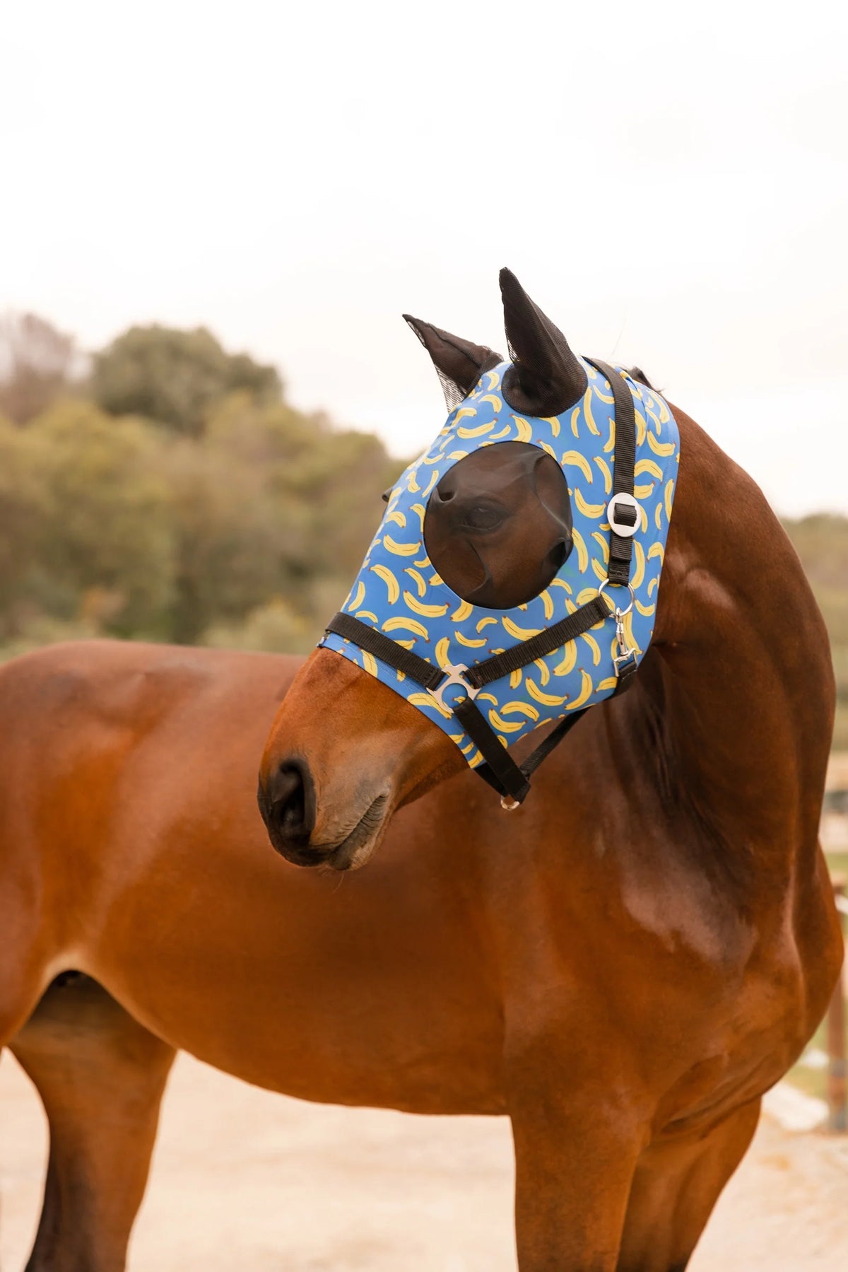 Horze Ibiza Elastic Pull-On Fly Mask