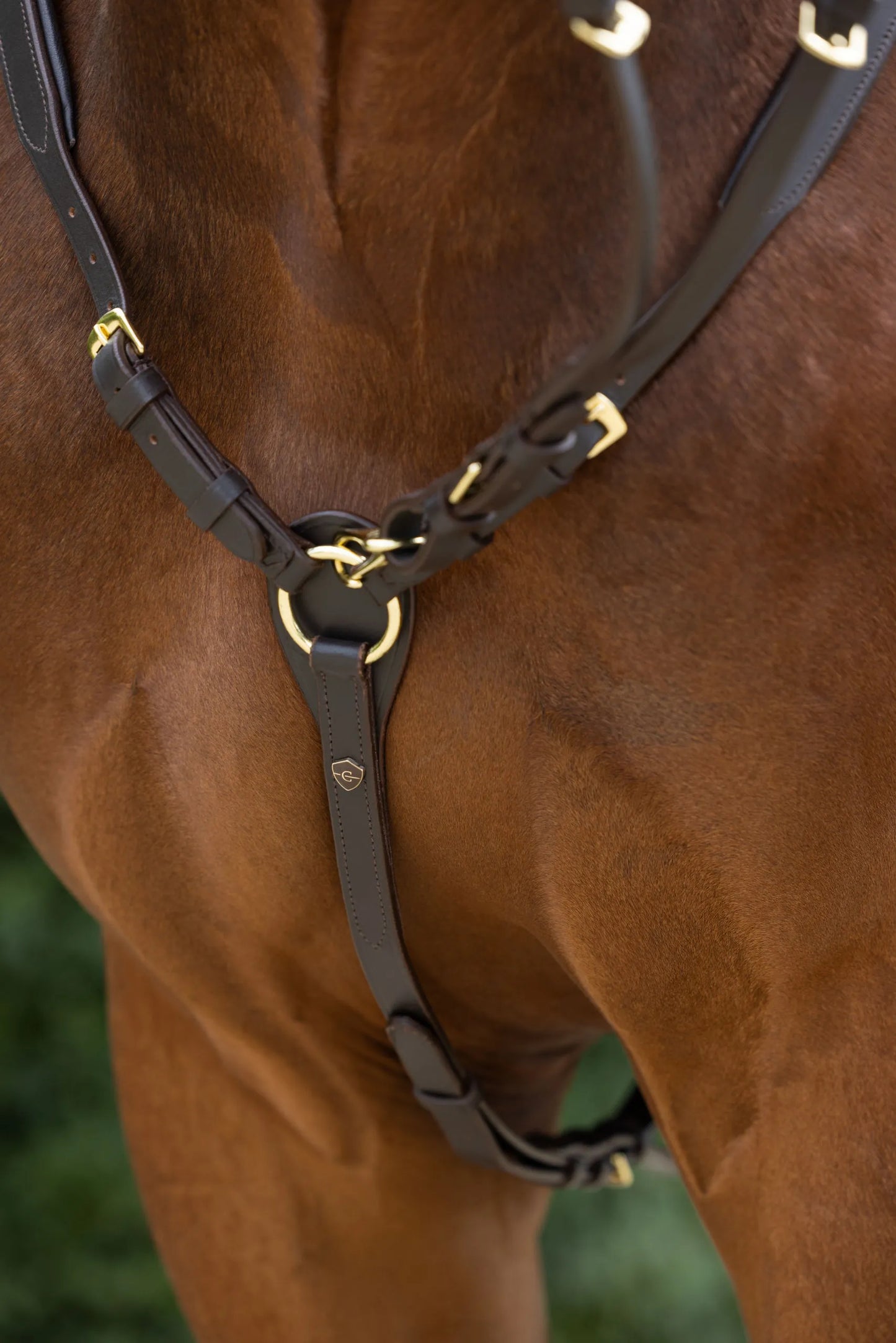 Horse Breastplate - Leather Equestrian Breastplate