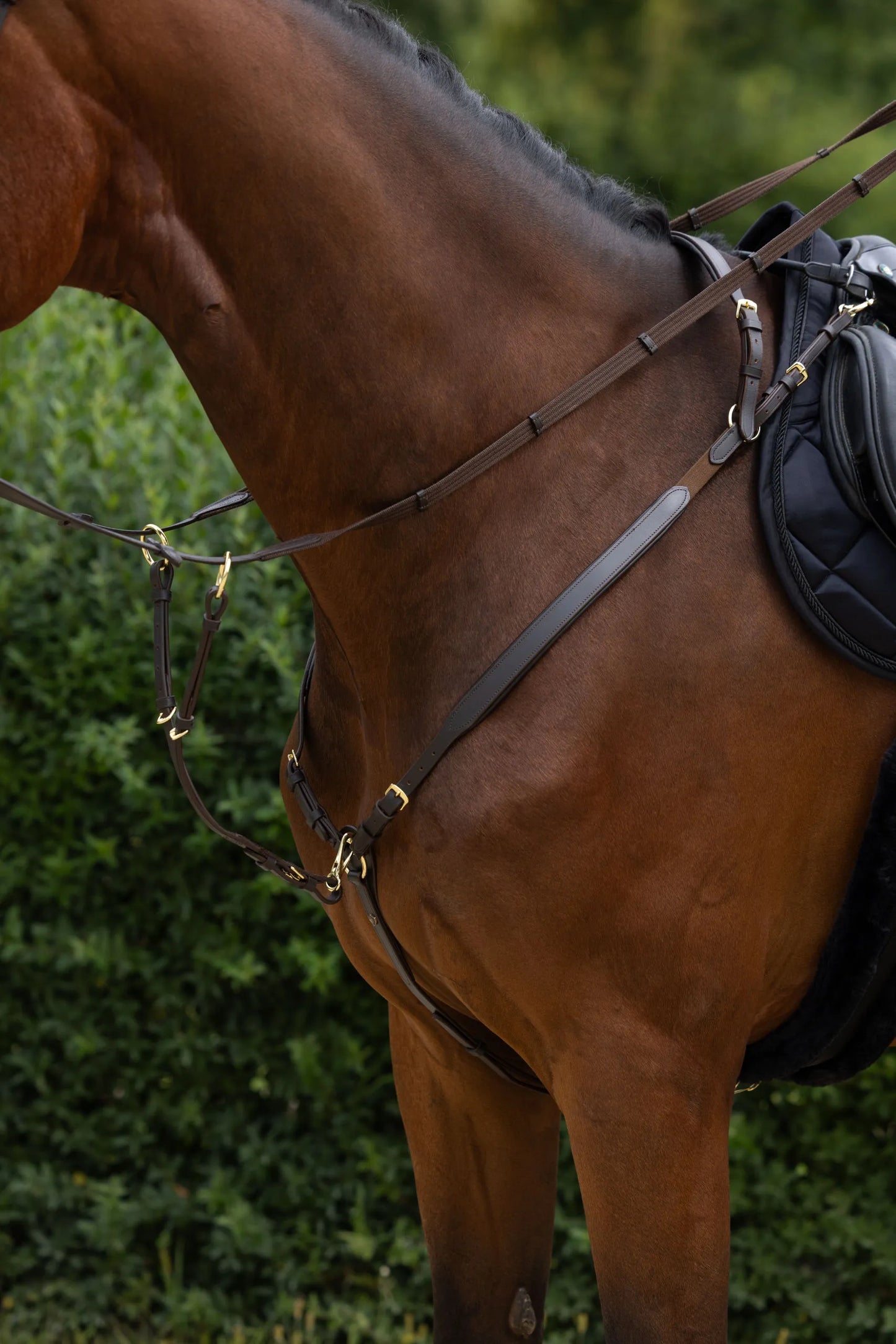 Horse Breastplate - Leather Equestrian Breastplate