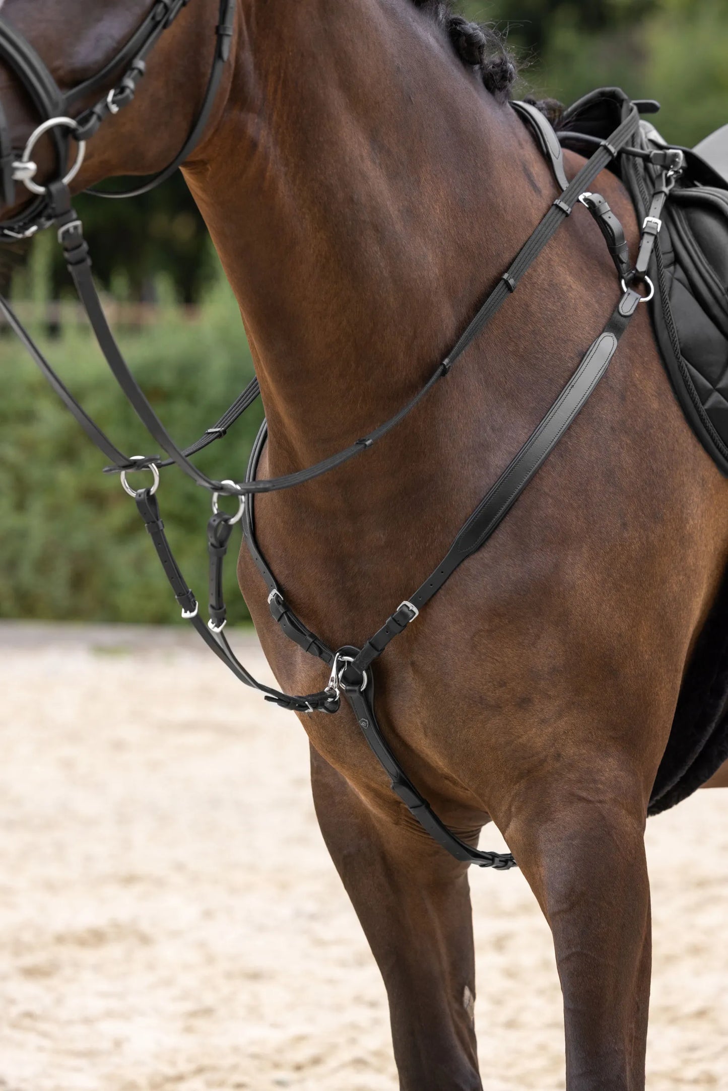Horse Breastplate - Leather Equestrian Breastplate