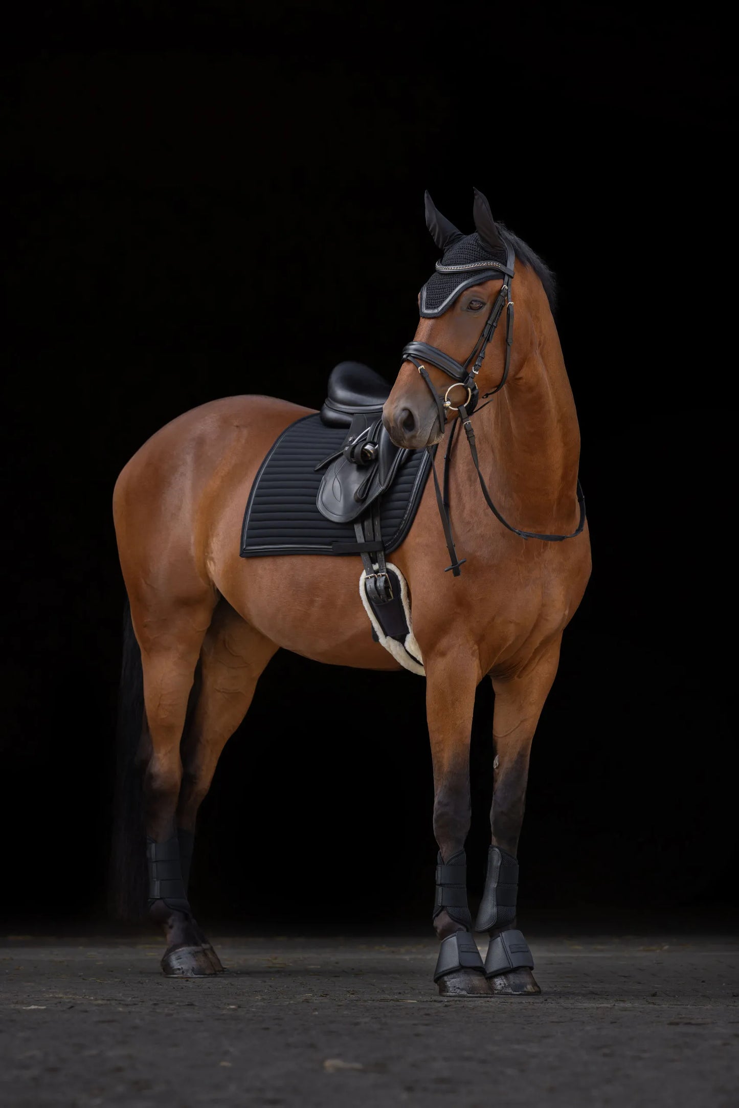 Linea Dressage Saddle Pad - Quilted Horse Saddlecloth