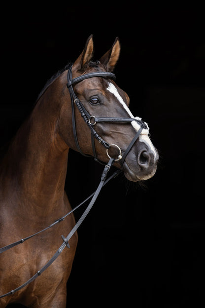 Cancun Snaffle Bridle - Leather Horse Bridle