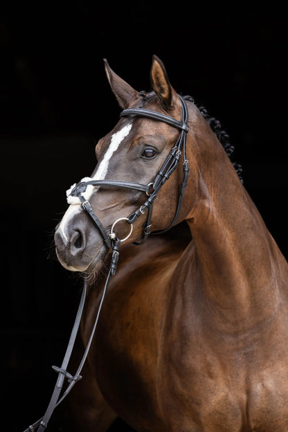 Cancun Snaffle Bridle - Leather Horse Bridle