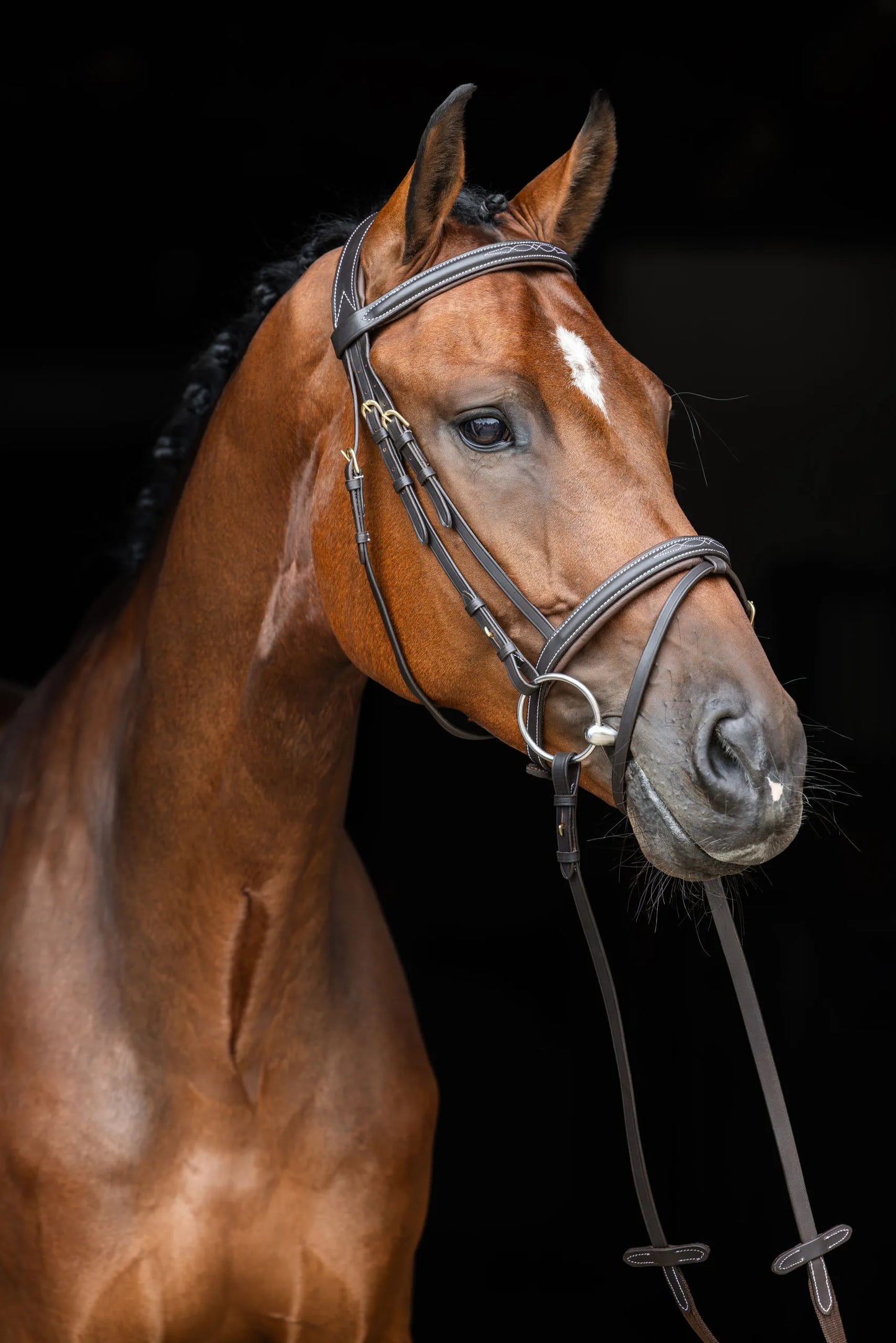 Classic Snaffle Bridle - Sewn Detail - Leather Horse Bridle