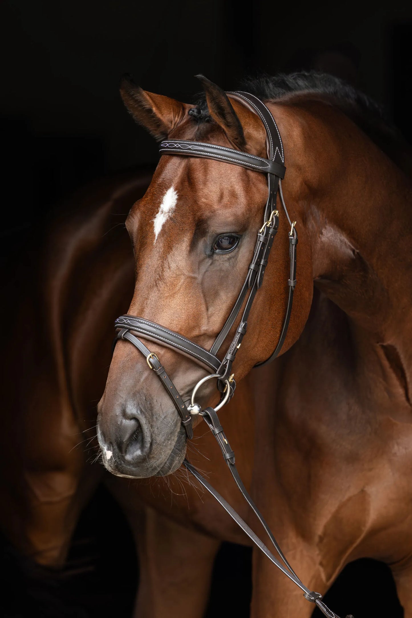 Classic Snaffle Bridle - Sewn Detail - Leather Horse Bridle