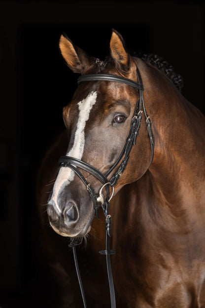 Covalliero Standard Snaffle Bridle