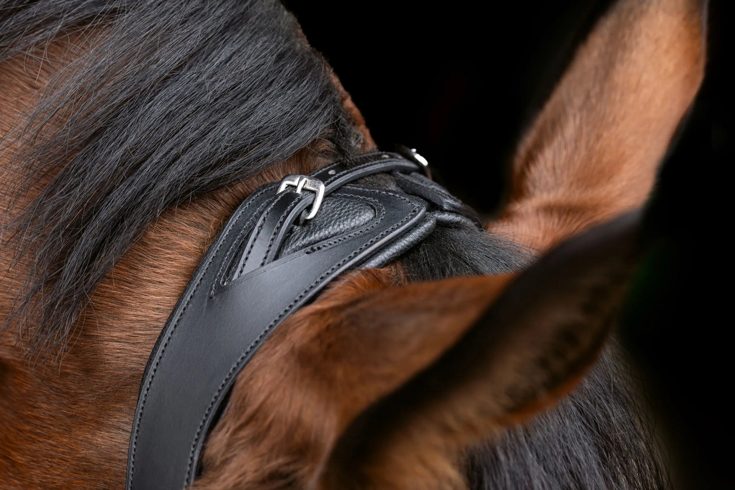 Anatomic Snaffle Bridle - Anatomically Shaped Horse Bridle