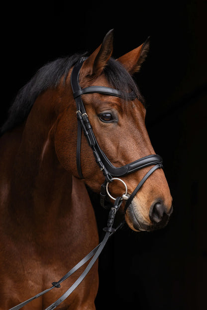 Anatomic Snaffle Bridle - Anatomically Shaped Horse Bridle