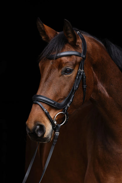 Anatomic Snaffle Bridle - Anatomically Shaped Horse Bridle