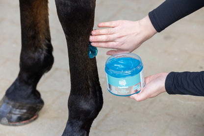 MagicBrush EquiMint Horse Cooling Gel - 500ml