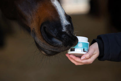 MagicBrush Lucky Lips Horse Lip Balm - Apple 150ml