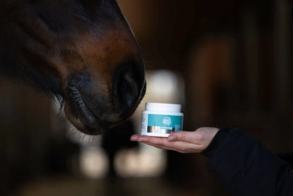 MagicBrush Lucky Lips Horse Lip Balm - Apple 150ml