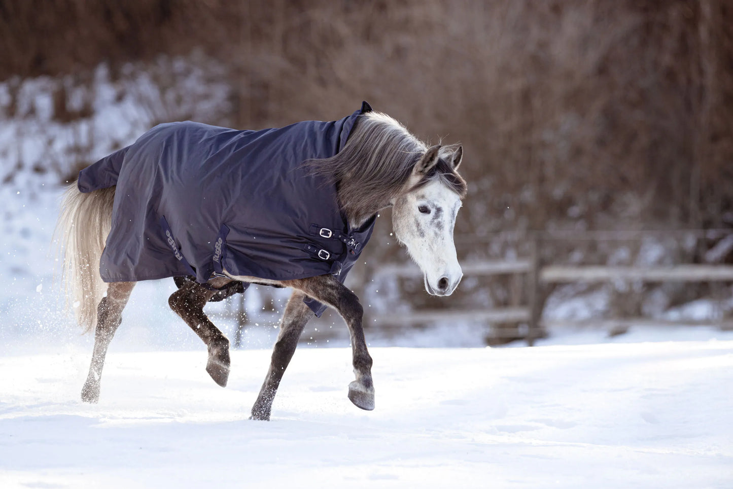 Covalliero RugBe HighNeck Outdoor Horse Blanket - Turnout Rug