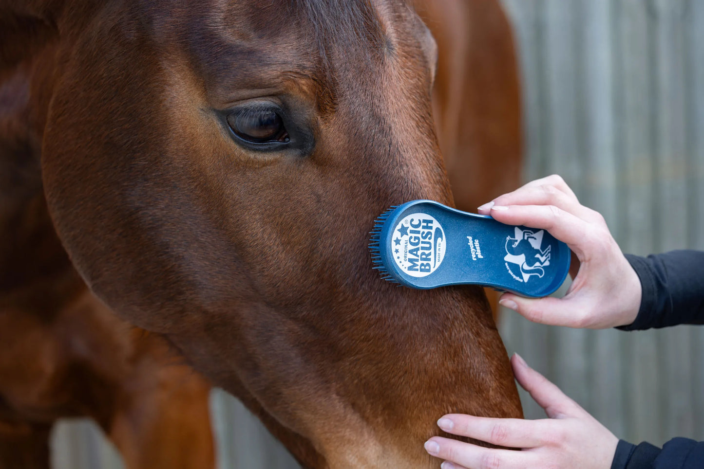 MagicBrush CornFlowers Brush Set - Horse Grooming Brush Set