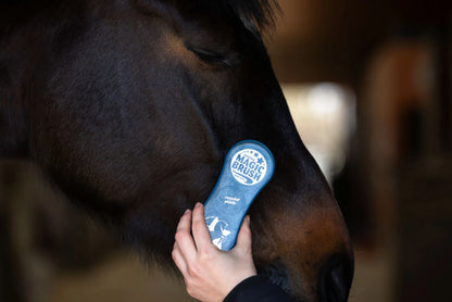 MagicBrush CornFlowers Brush Set - Horse Grooming Brush Set