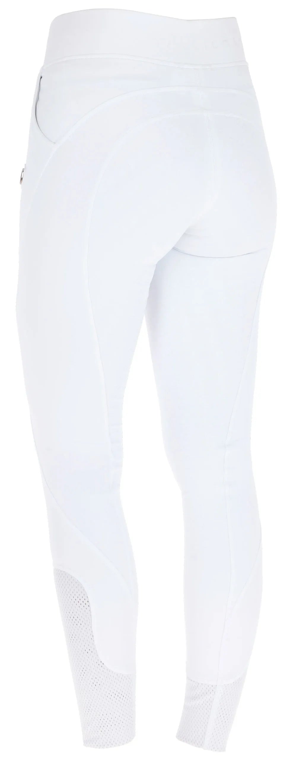 Women's Riding Tights - Covalliero Equestrian Leggings