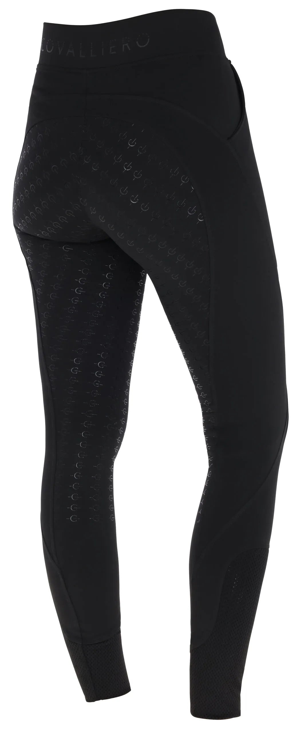 Women’s Riding Tights - Covalliero Equestrian Leggings