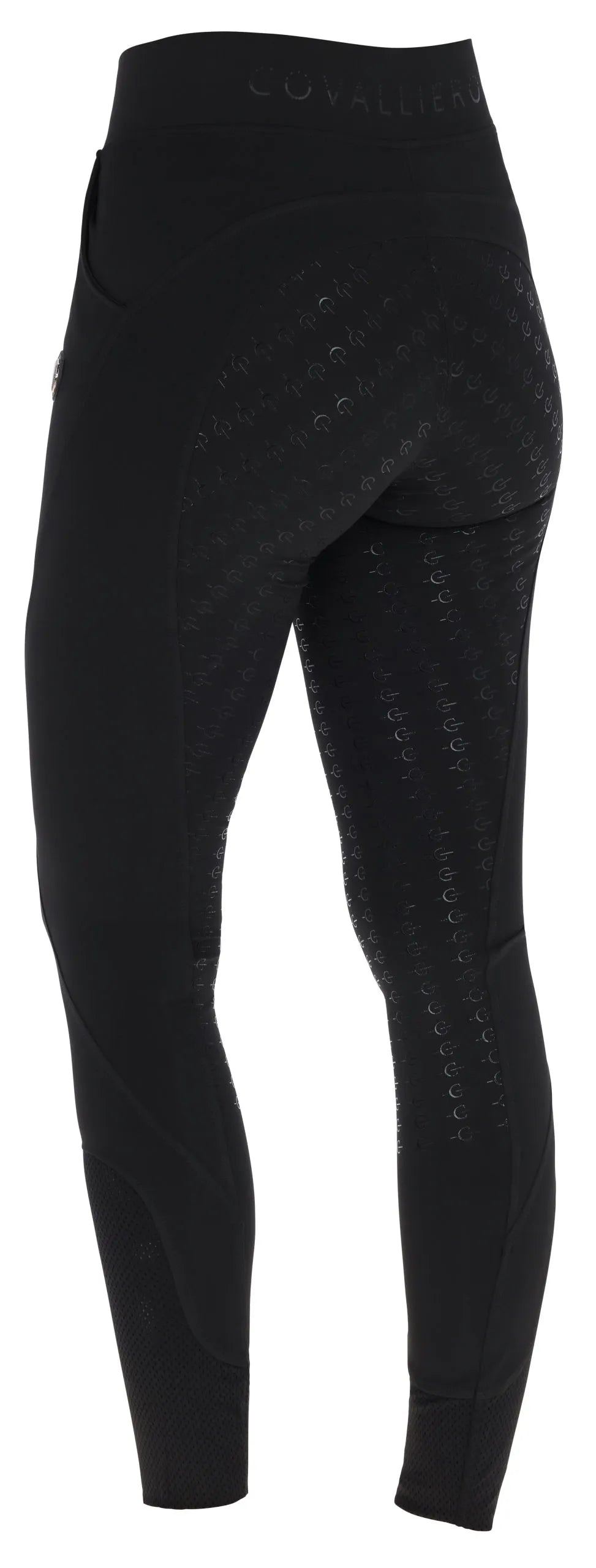 Women’s Riding Tights - Covalliero Equestrian Leggings