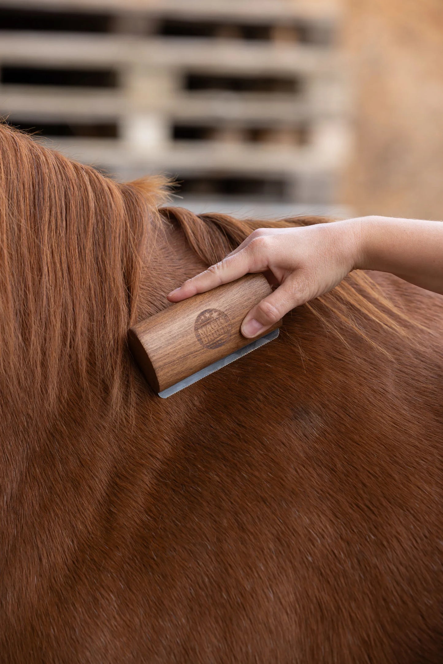 MagicBrush Fellboy - Horse Grooming Brush