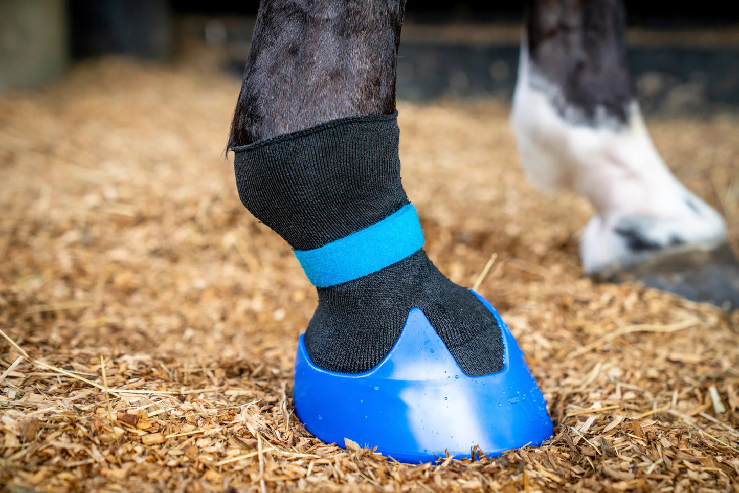 Tubbease Hoof Shoe - Breathable Horse Hoof Care Boot