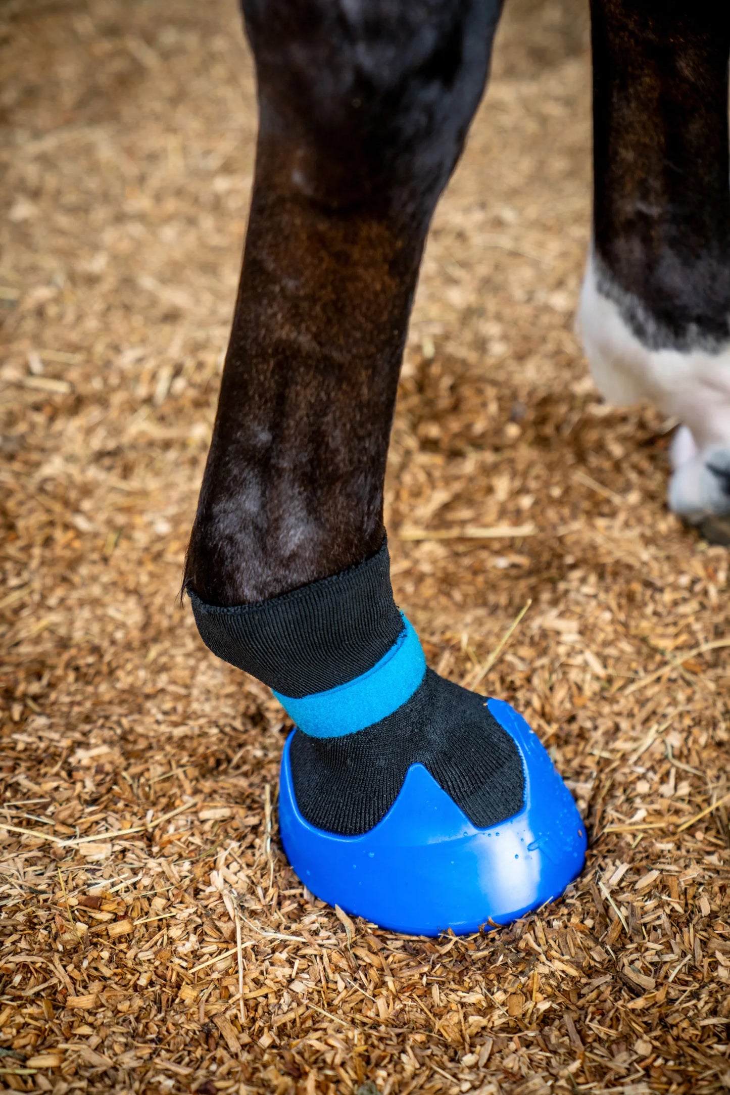 Tubbease Hoof Shoe - Breathable Horse Hoof Care Boot