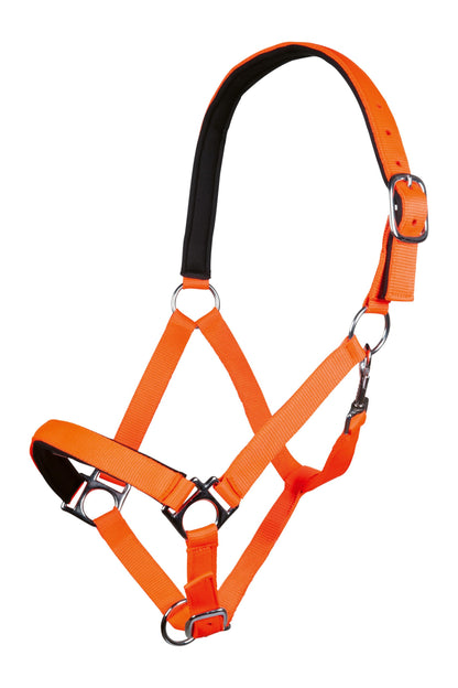 Stars Softice Head Collar With Padded Noseband & Headpiece - Horse Head Collar