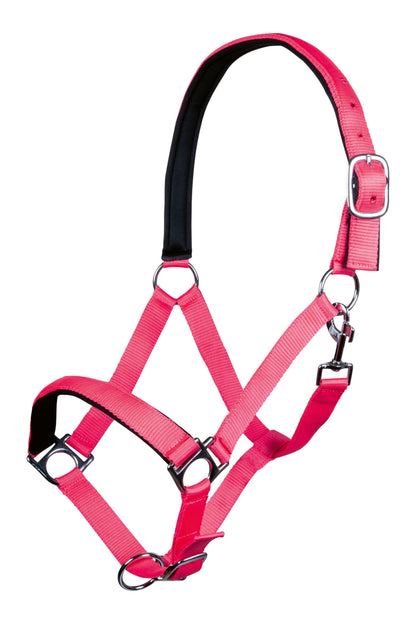 Stars Softice Head Collar With Padded Noseband & Headpiece - Horse Head Collar