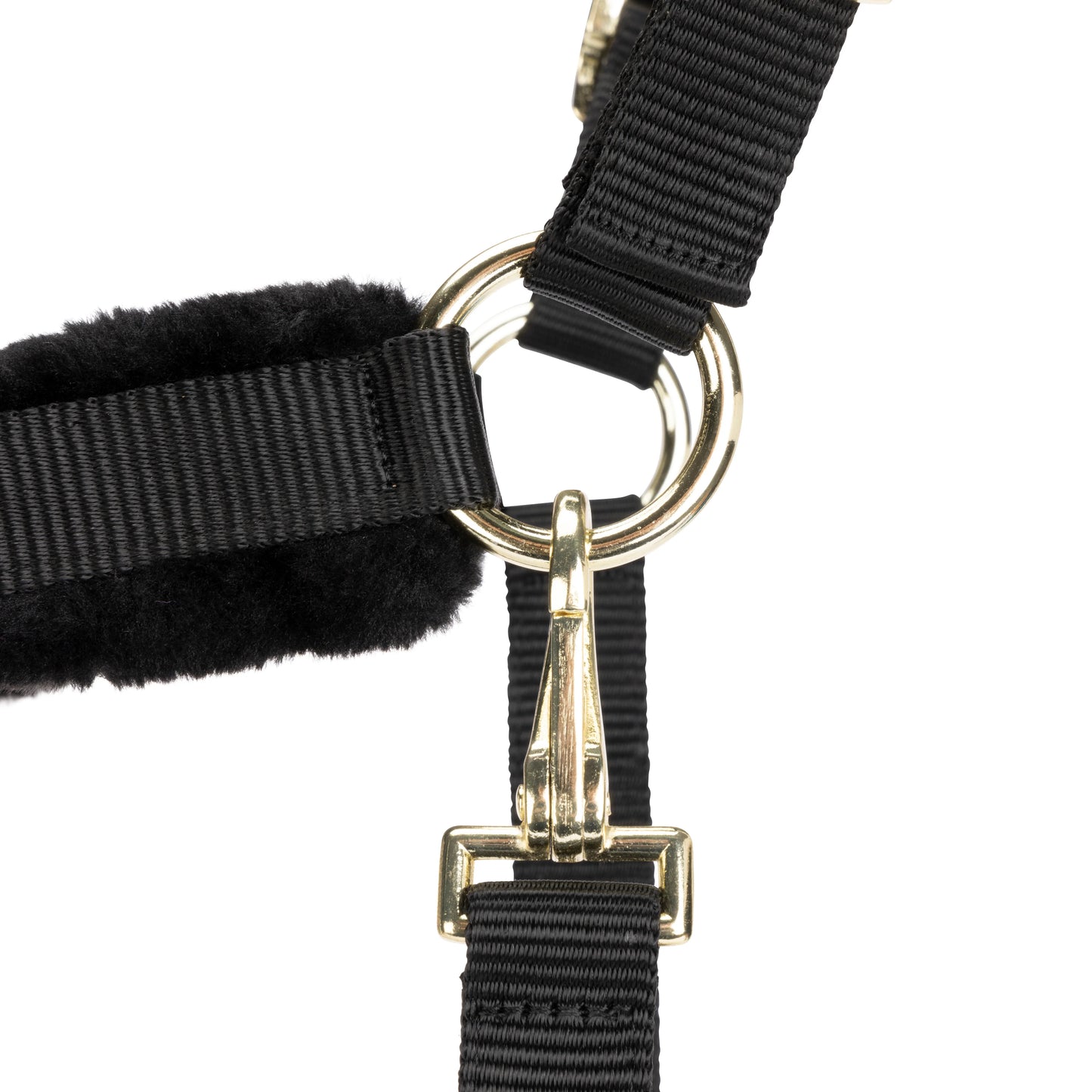 ARMA Logo Padded Headcollar with Lead Rope - Horse Headcollar Set