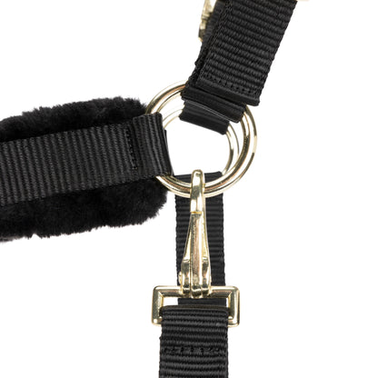 ARMA Logo Padded Headcollar with Lead Rope - Horse Headcollar Set