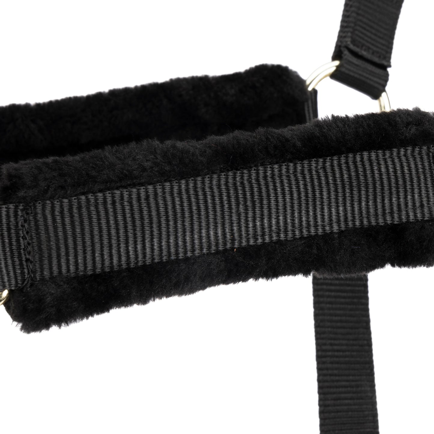 ARMA Logo Padded Headcollar with Lead Rope - Horse Headcollar Set