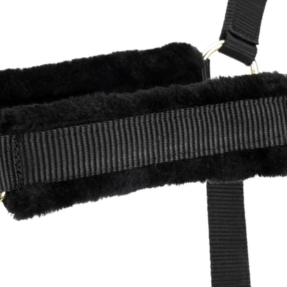 ARMA Logo Padded Headcollar with Lead Rope - Horse Headcollar Set
