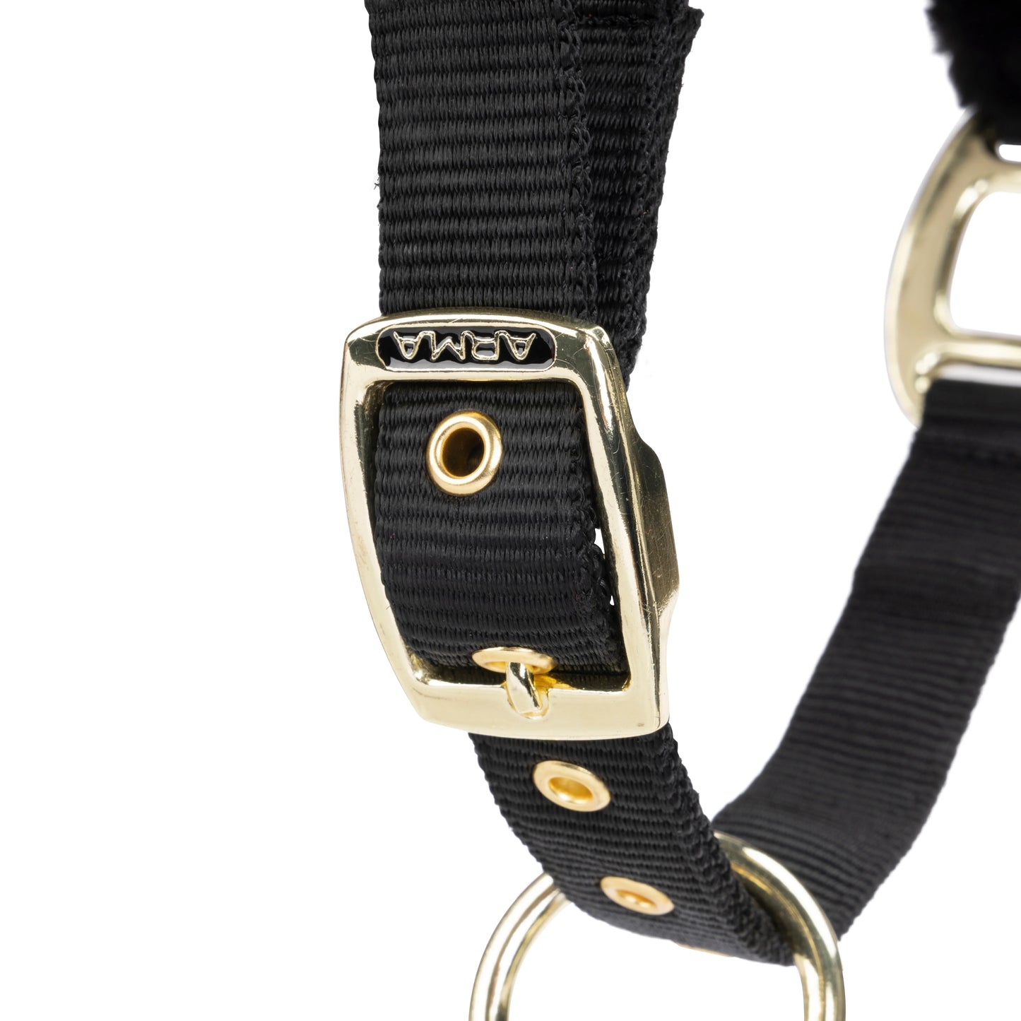 ARMA Logo Padded Headcollar with Lead Rope - Horse Headcollar Set
