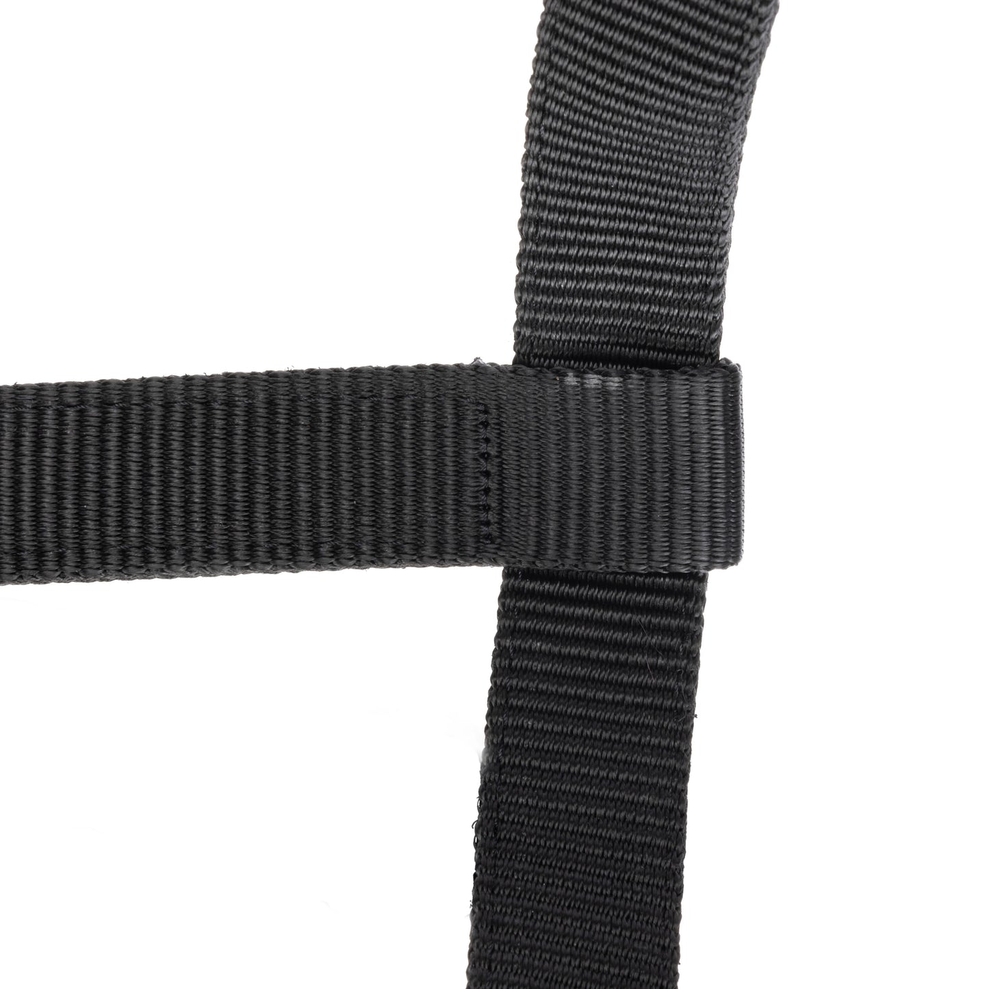 ARMA Logo Padded Headcollar with Lead Rope - Horse Headcollar Set