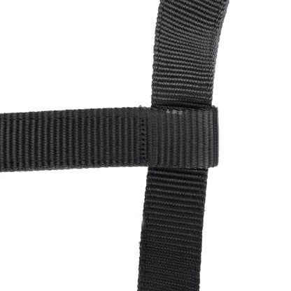 ARMA Logo Padded Headcollar with Lead Rope - Horse Headcollar Set