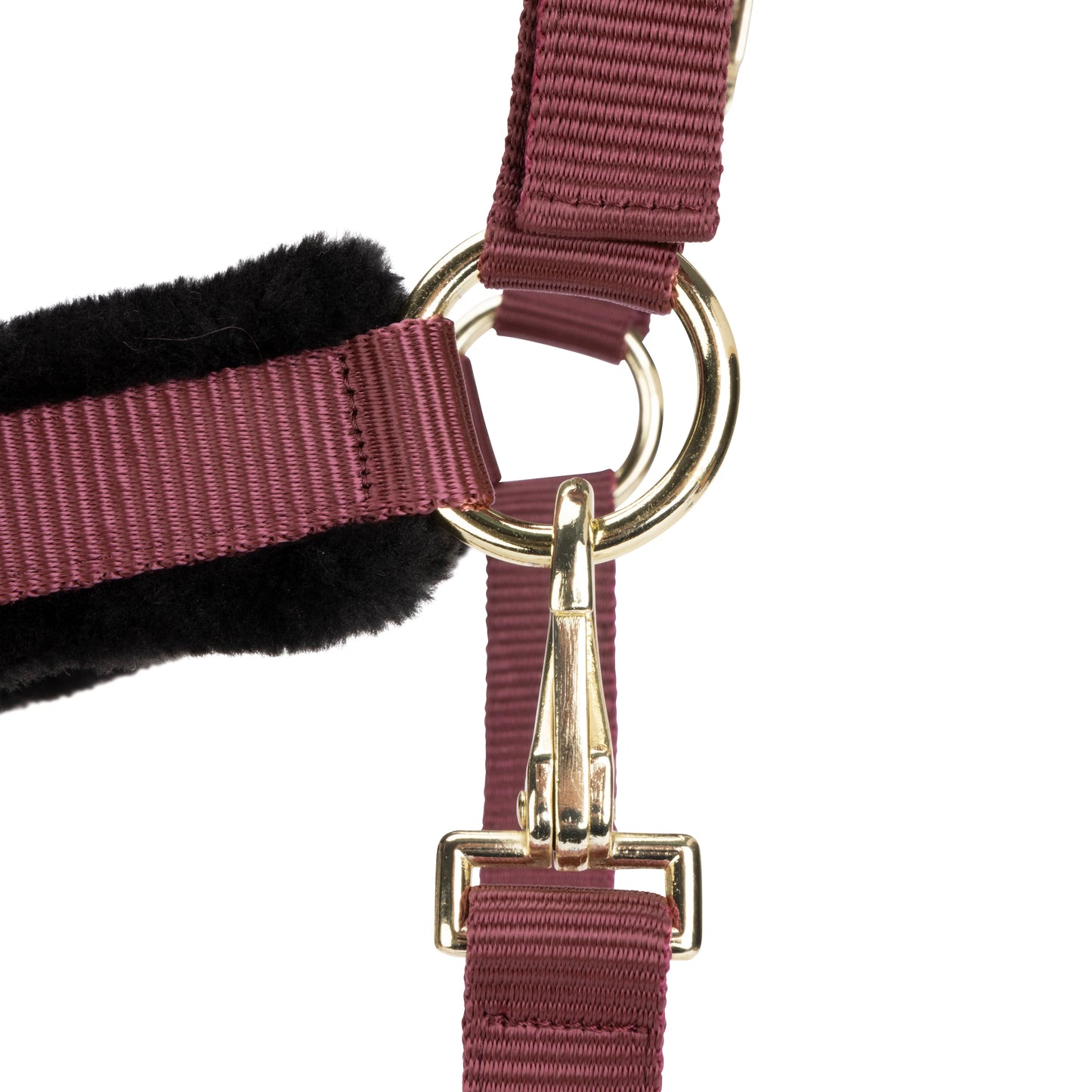 ARMA Logo Padded Headcollar with Lead Rope - Horse Headcollar Set
