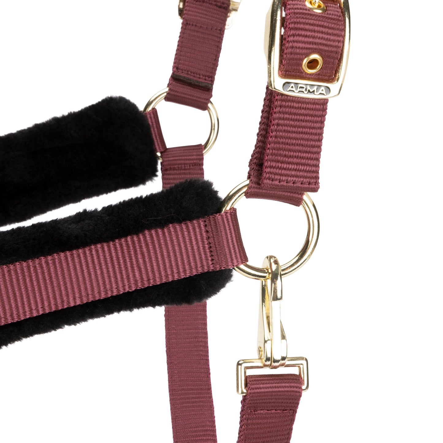 ARMA Logo Padded Headcollar with Lead Rope - Horse Headcollar Set
