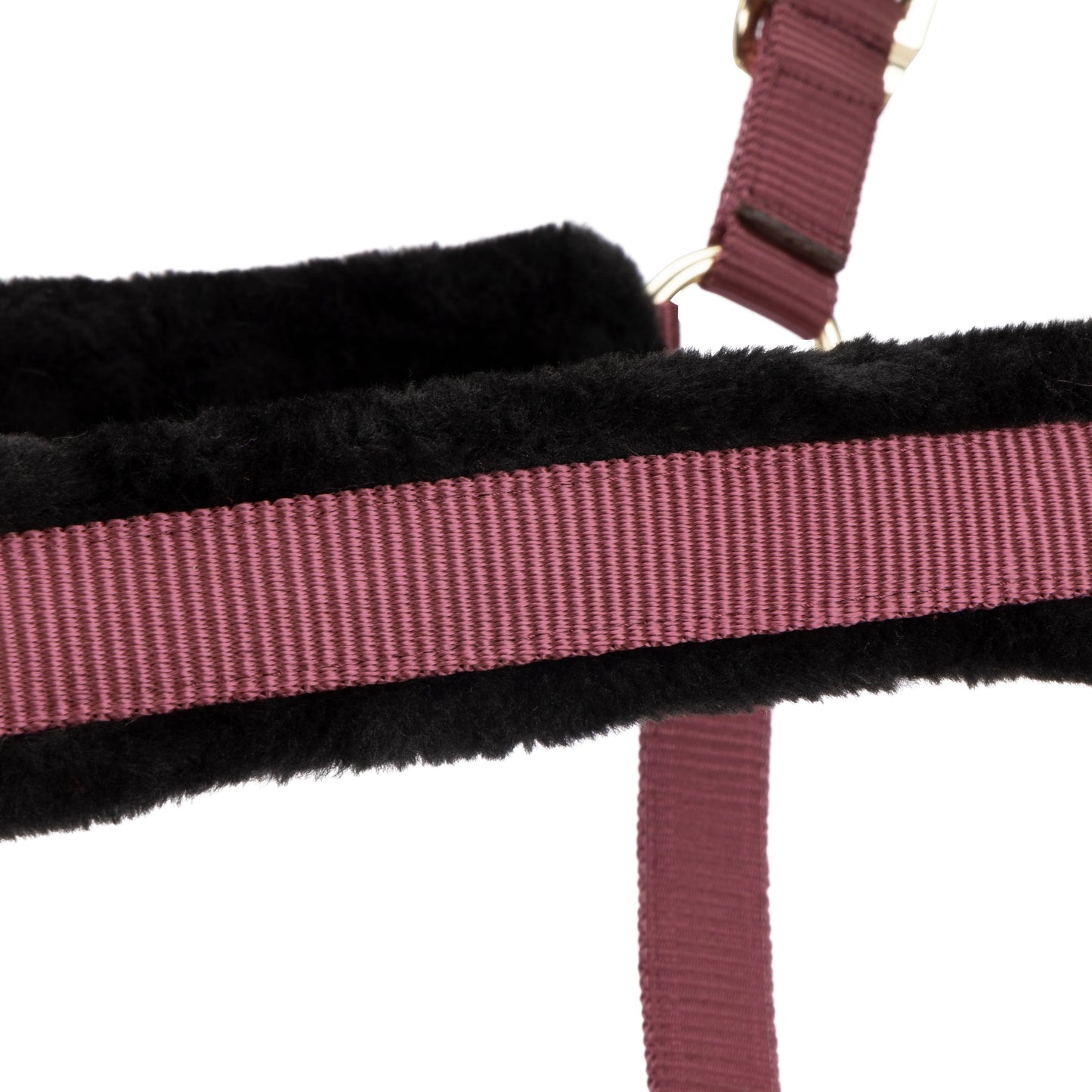 ARMA Logo Padded Headcollar with Lead Rope - Horse Headcollar Set