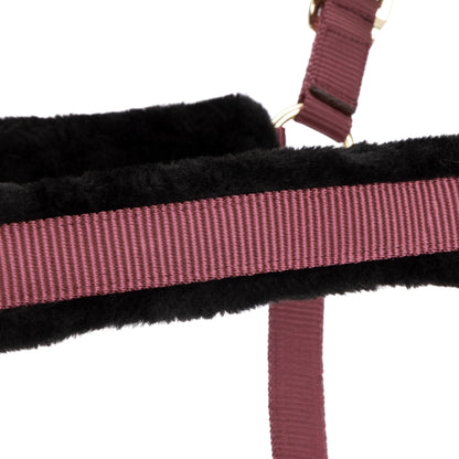 ARMA Logo Padded Headcollar with Lead Rope - Horse Headcollar Set