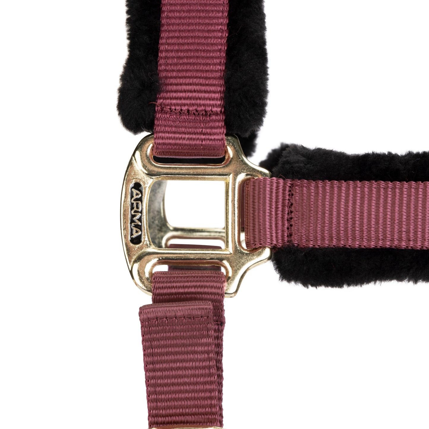 ARMA Logo Padded Headcollar with Lead Rope - Horse Headcollar Set
