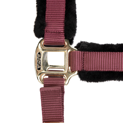 ARMA Logo Padded Headcollar with Lead Rope - Horse Headcollar Set