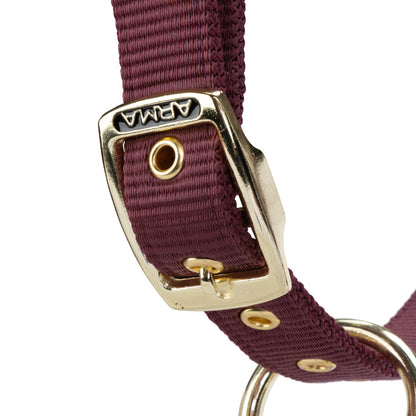 ARMA Logo Padded Headcollar with Lead Rope - Horse Headcollar Set