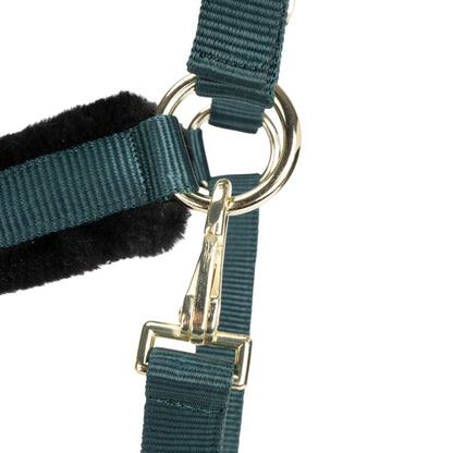 ARMA Logo Padded Headcollar with Lead Rope - Horse Headcollar Set