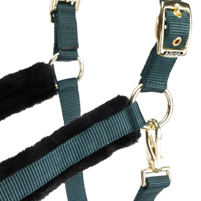 ARMA Logo Padded Headcollar with Lead Rope - Horse Headcollar Set