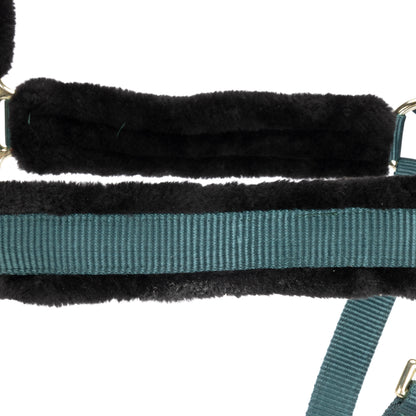 ARMA Logo Padded Headcollar with Lead Rope - Horse Headcollar Set