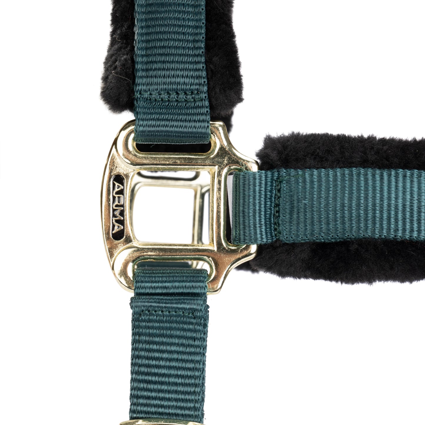 ARMA Logo Padded Headcollar with Lead Rope - Horse Headcollar Set