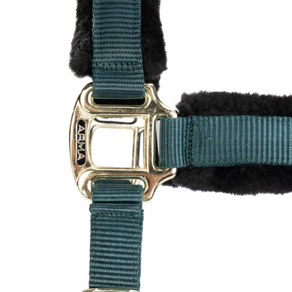 ARMA Logo Padded Headcollar with Lead Rope - Horse Headcollar Set