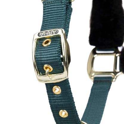 ARMA Logo Padded Headcollar with Lead Rope - Horse Headcollar Set