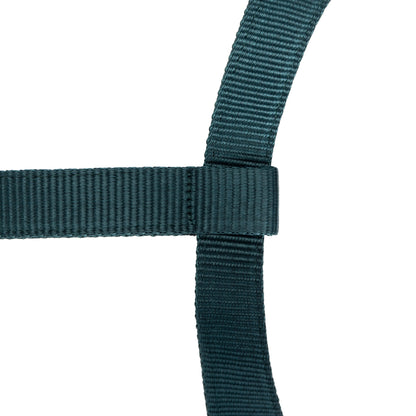 ARMA Logo Padded Headcollar with Lead Rope - Horse Headcollar Set