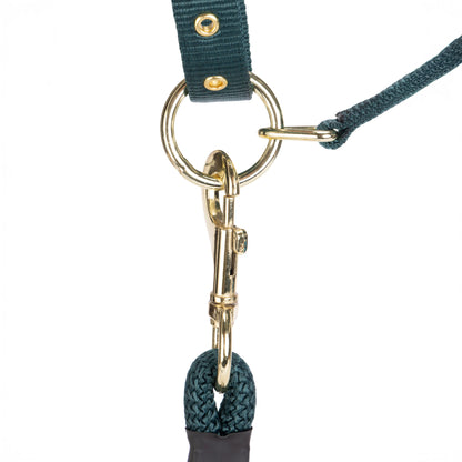 ARMA Logo Padded Headcollar with Lead Rope - Horse Headcollar Set